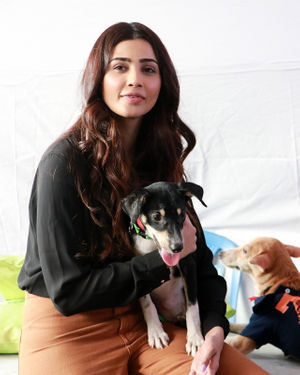 Photos: Daisy Shah At Asia's Largest Adoption Fair Indian Breed Puppies & Kittens | Picture 1705178