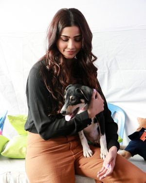 Photos: Daisy Shah At Asia's Largest Adoption Fair Indian Breed Puppies & Kittens | Picture 1705179