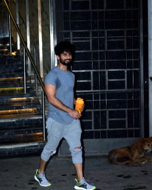 Shahid Kapoor - Photos: Celebs Spotted at Gym