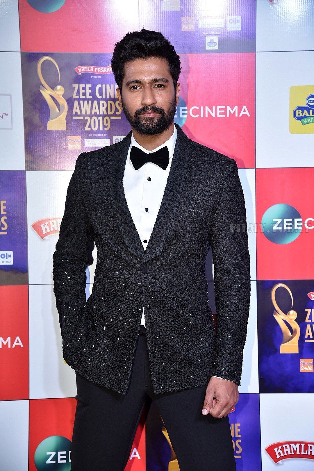 Photos: Celebs at Zee Cine Awards 2019 Red Carpet | Picture 1636597