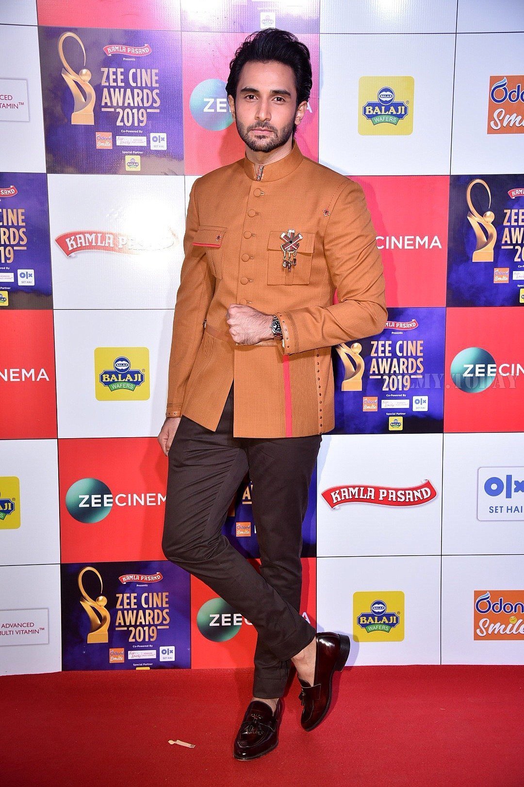 Photos: Celebs at Zee Cine Awards 2019 Red Carpet | Picture 1636613