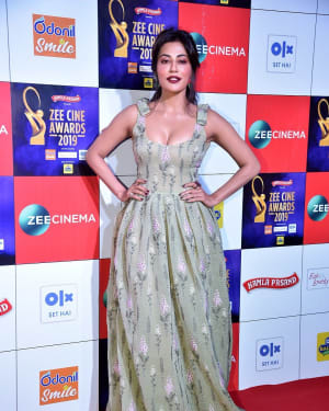 Shama Sikander - Photos: Celebs at Zee Cine Awards 2019 Red Carpet