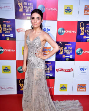 Photos: Celebs at Zee Cine Awards 2019 Red Carpet | Picture 1636650