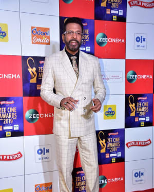 Photos: Celebs at Zee Cine Awards 2019 Red Carpet | Picture 1636624