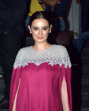 Evelyn Sharma - Photos: Screening Of Film Bypass Road At Pvr Icon