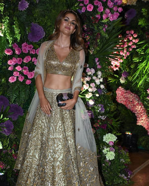 Natasha Poonawalla - Photos: Armaan Jain & Anissa Malhotra Wedding Reception
