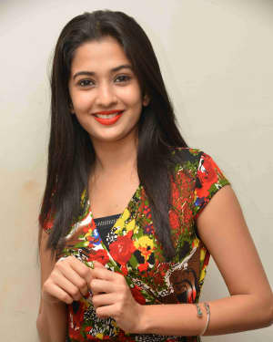 Sonal (Kannada Actress) - Panchatantra Film Success Meet Photos | Picture 1640856