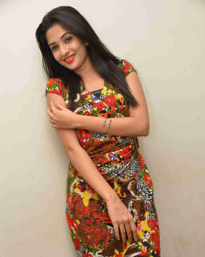 Sonal (Kannada Actress) - Panchatantra Film Success Meet Photos | Picture 1640843