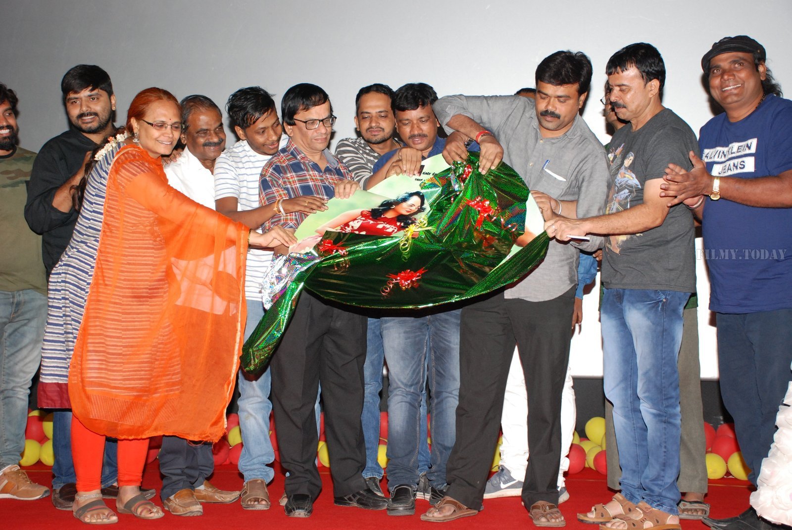 Bhanu Weds Bhoomi Movie Audio Release Pictures | Picture 1658771