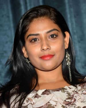 Raga (Kannada Actress) - Devayani Kannada Film Press Meet Photos