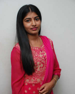 Pallavi  - Hanigalu Film Press Meet Pictures