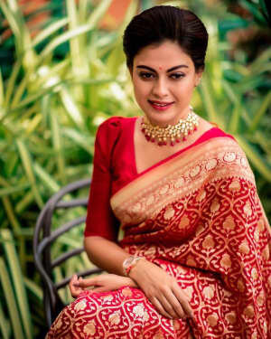 Anusree Nair Latest Photos | Picture 1730553