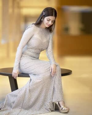 Vedhika Latest Photos | Picture 1733710