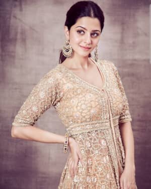 Vedhika Latest Photos | Picture 1733714
