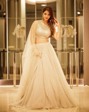 Vedhika Latest Photos | Picture 1733668