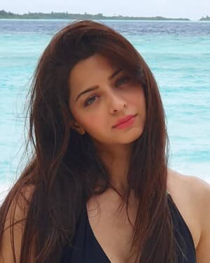 Vedhika Latest Photos | Picture 1733663