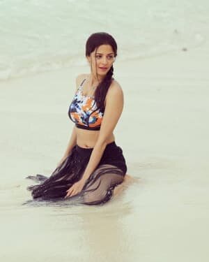 Vedhika Latest Photos | Picture 1733664