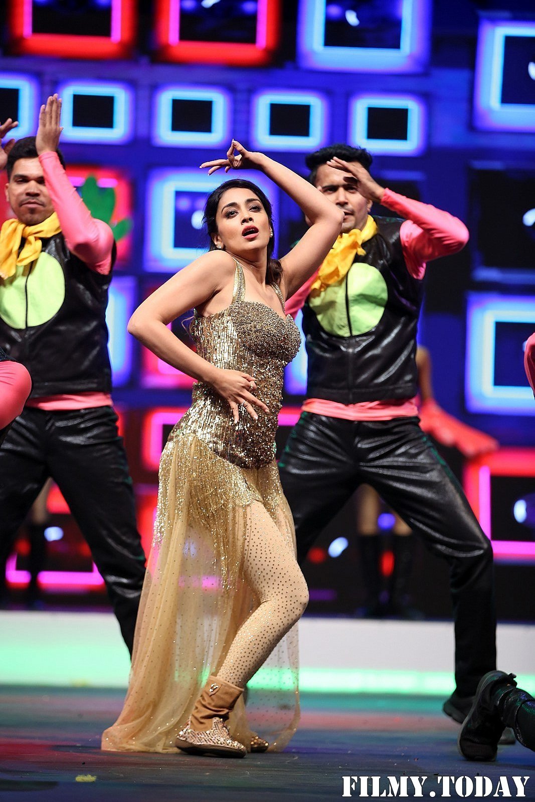 SIIMA Awards 2019 Photos | Picture 1675787