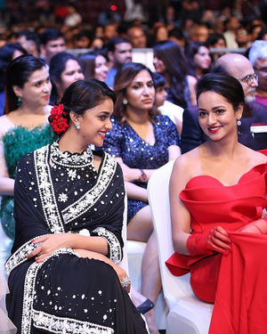 SIIMA Awards 2019 Photos | Picture 1675764