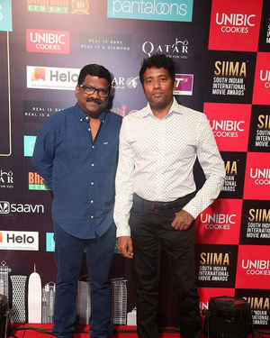 SIIMA Awards 2019 Photos | Picture 1675495