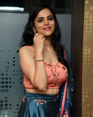 Kriti Garg - 2 Hours Love Movie Pre Release Event Photos | Picture 1679886