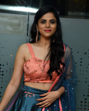 Kriti Garg - 2 Hours Love Movie Pre Release Event Photos | Picture 1679849