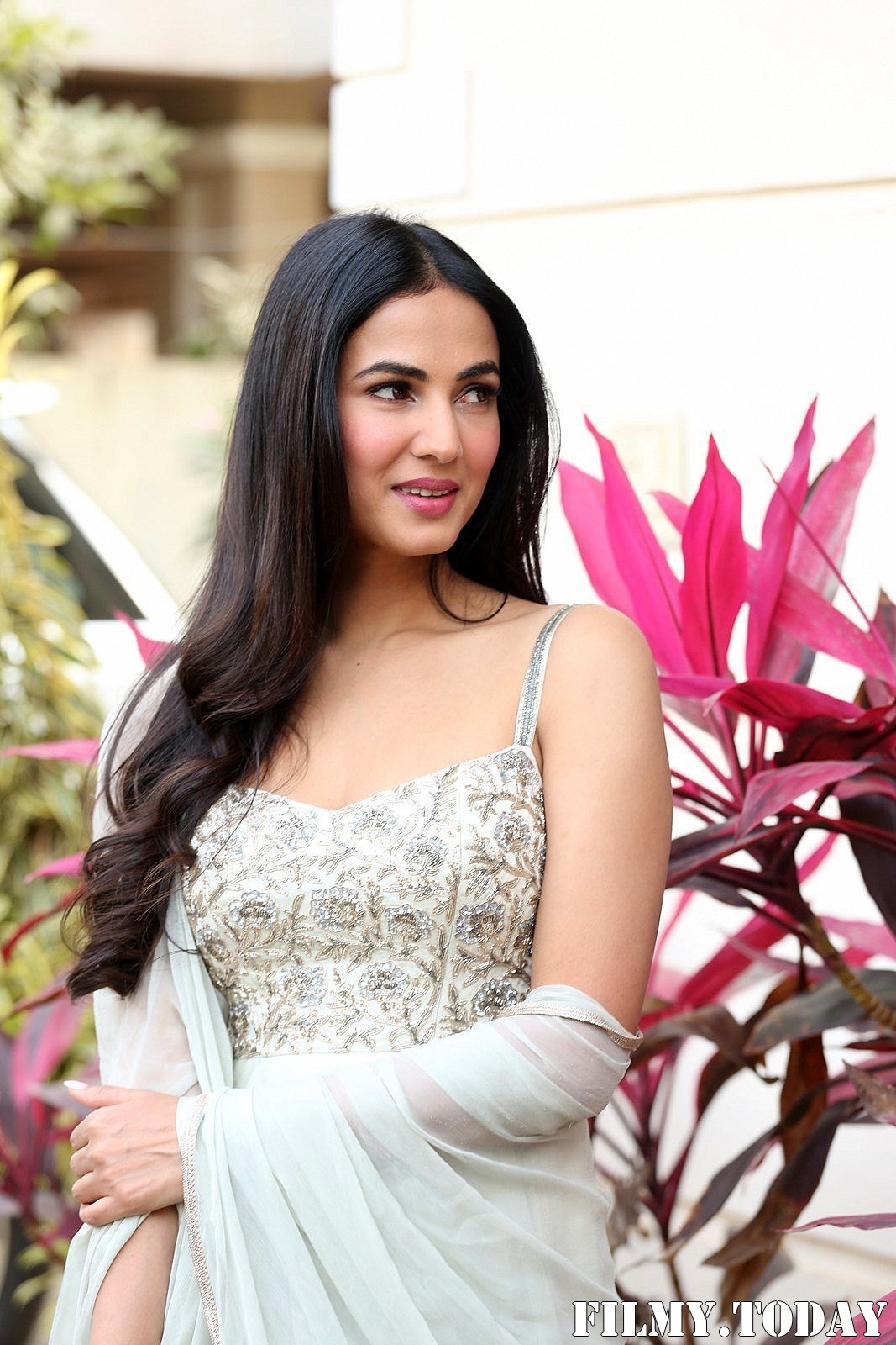 Sonal Chauhan At Ruler Telugu Movie Interview Photos | Picture 1708854
