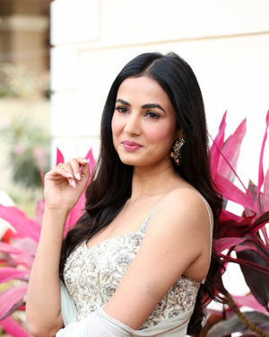 Sonal Chauhan At Ruler Telugu Movie Interview Photos | Picture 1708856