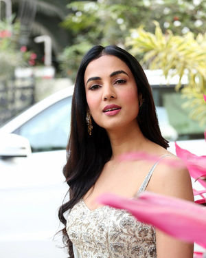 Sonal Chauhan At Ruler Telugu Movie Interview Photos | Picture 1708858
