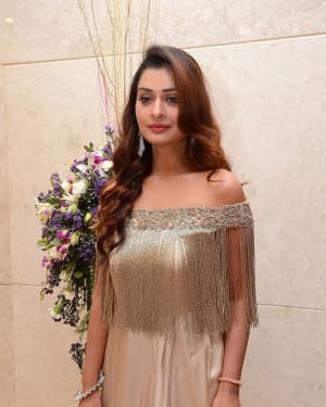 Payal Rajput - Page3 Event - Salon Hair Crush Launch Party Photos | Picture 1663215