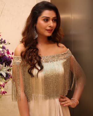 Payal Rajput - Page3 Event - Salon Hair Crush Launch Party Photos | Picture 1663180