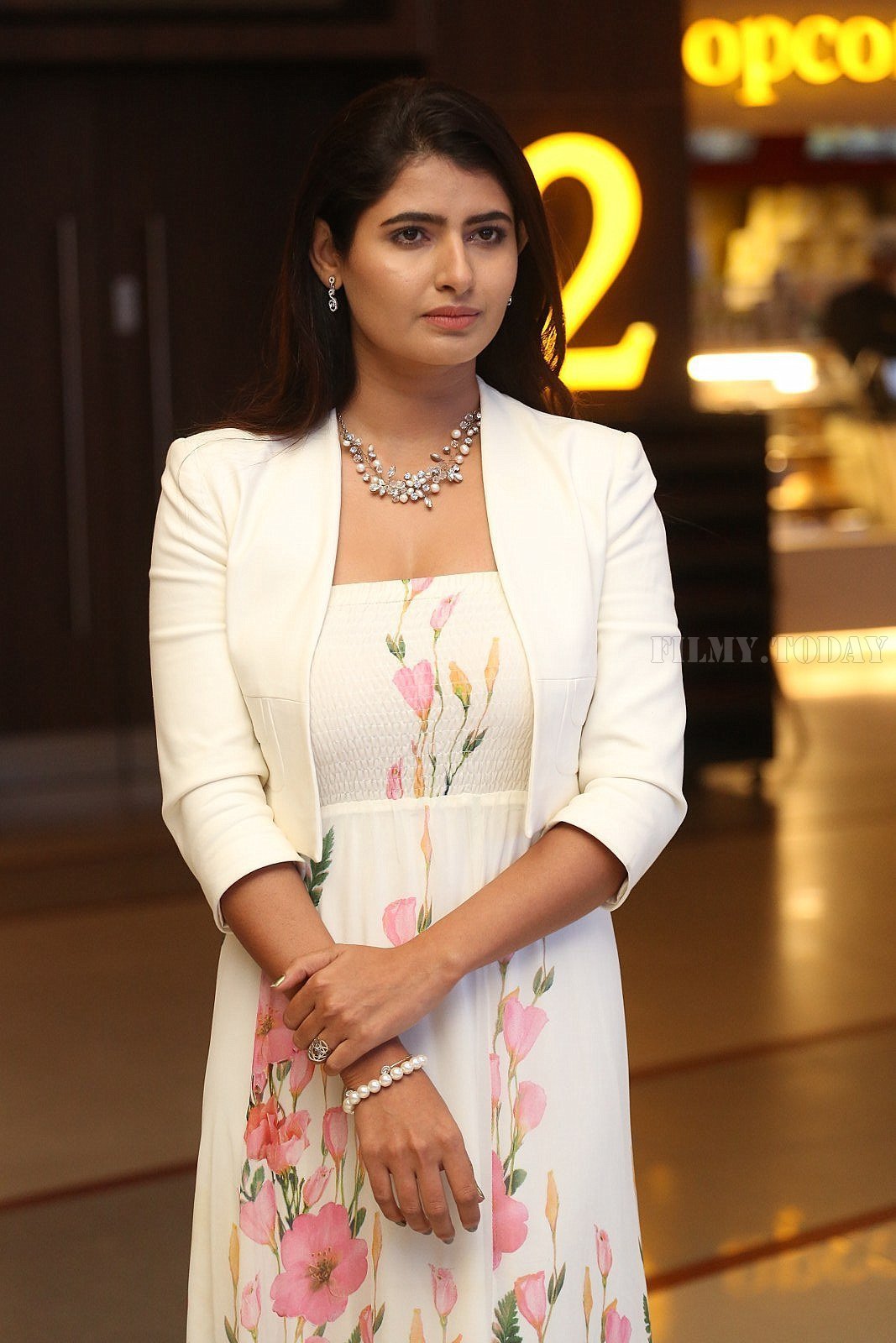 Ashima Narwal - Jessie Telugu Movie Success Meet Photos | Picture 1636512
