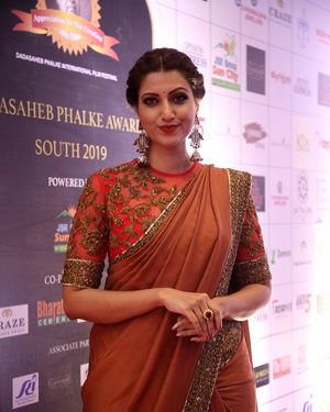 Hamsa Nandini - Dada Saheb Phalke Awards South 2019 Red Carpet Photos | Picture 1684803