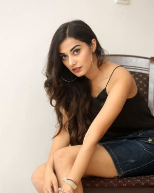 Stefy Patel Photos At Ninnu Talachi Movie Interview | Picture 1685767