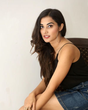 Stefy Patel Photos At Ninnu Talachi Movie Interview | Picture 1685781
