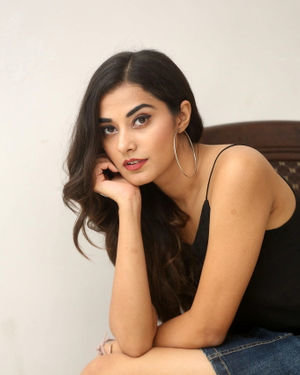 Stefy Patel Photos At Ninnu Talachi Movie Interview | Picture 1685774