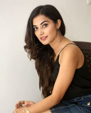 Stefy Patel Photos At Ninnu Talachi Movie Interview | Picture 1685780