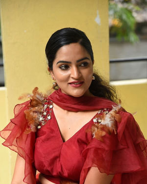 Sukrutha Wagle - Rama Chakkani Seetha Movie Press Meet Photos | Picture 1687097