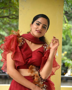 Sukrutha Wagle - Rama Chakkani Seetha Movie Press Meet Photos | Picture 1687113