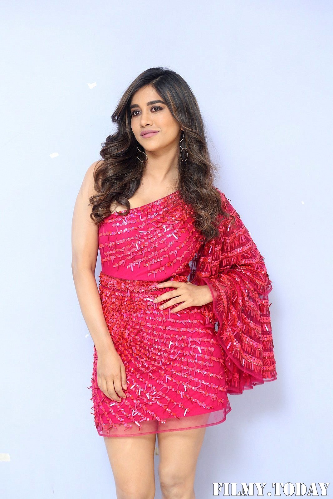 Nabha Natesh - Disco Raja Movie 3rd Song Release Press Meet Photos | Picture 1714786